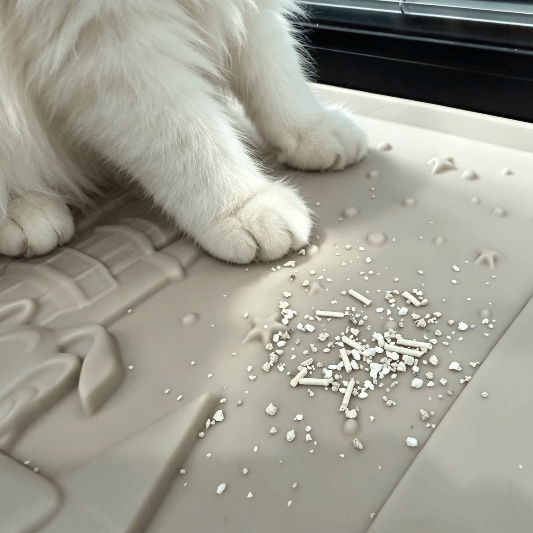 Raised edge rubber cat litter mat prevents litter spills around litter box