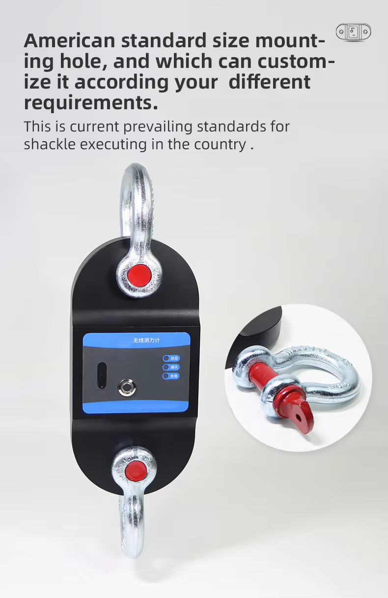 Where to Find Reliable Suppliers for 200 kg Crane Scales
