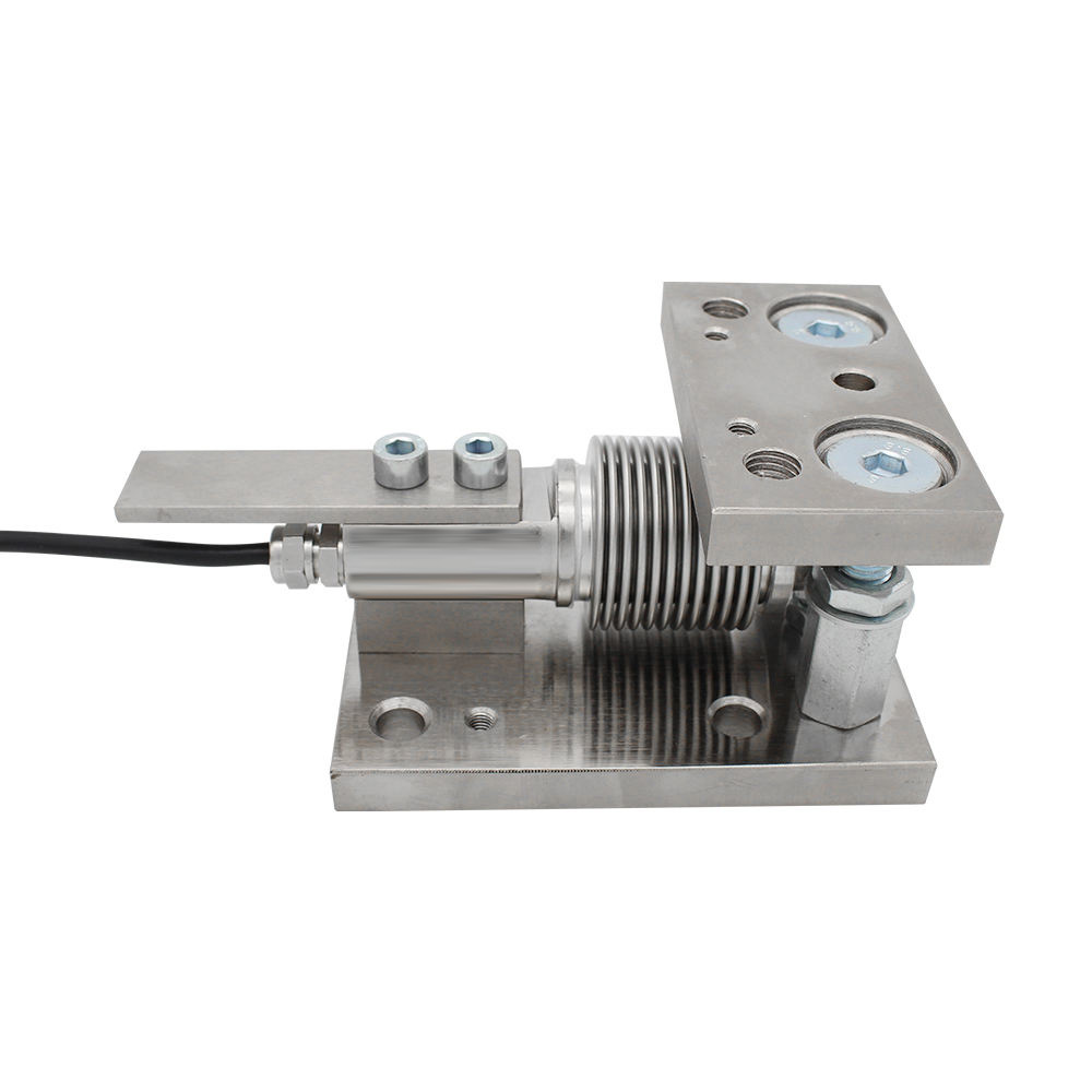 Where to Find Reliable Suppliers for Weigh Modules in Bulk