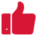 Support Throughout the Project