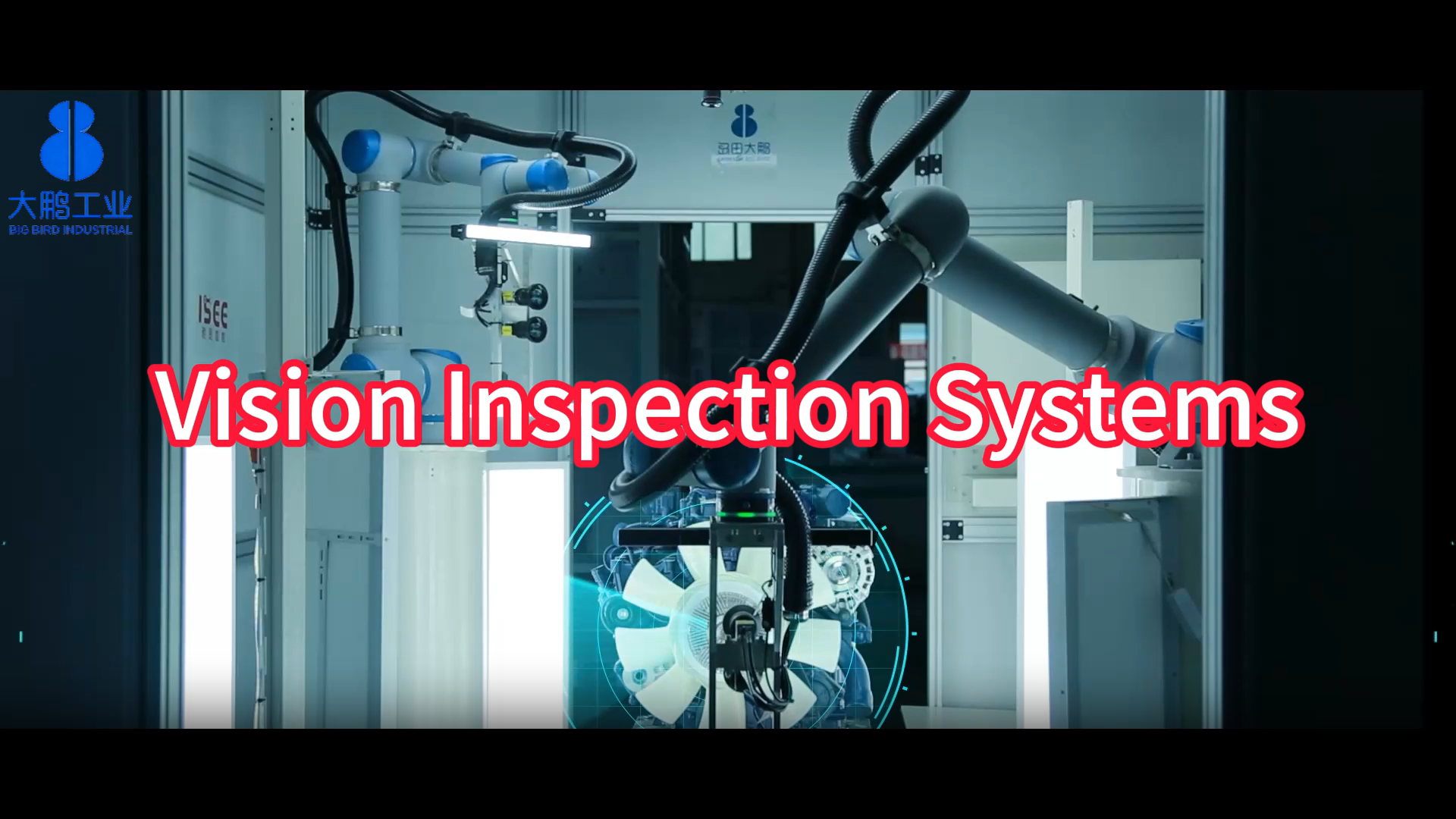 Vision Inspection System