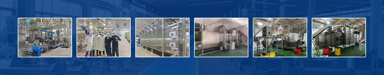 The Current State of Development of Twin-Screw Extruders for the Food Industry