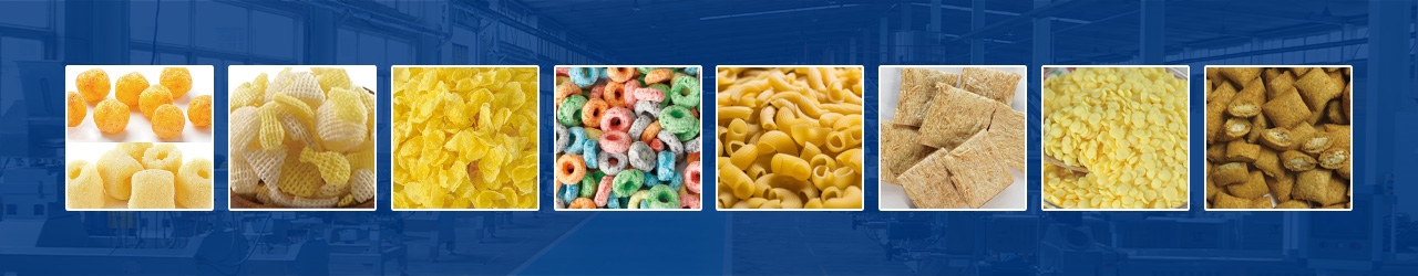The Current State of Development of Twin-Screw Extruders for the Food Industry