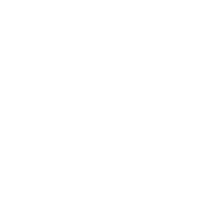 download-icon
