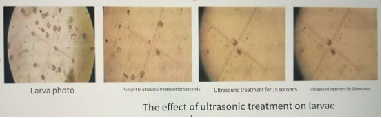 Ultrasonic cavitation process