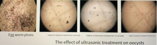 Ultrasonic cavitation effect