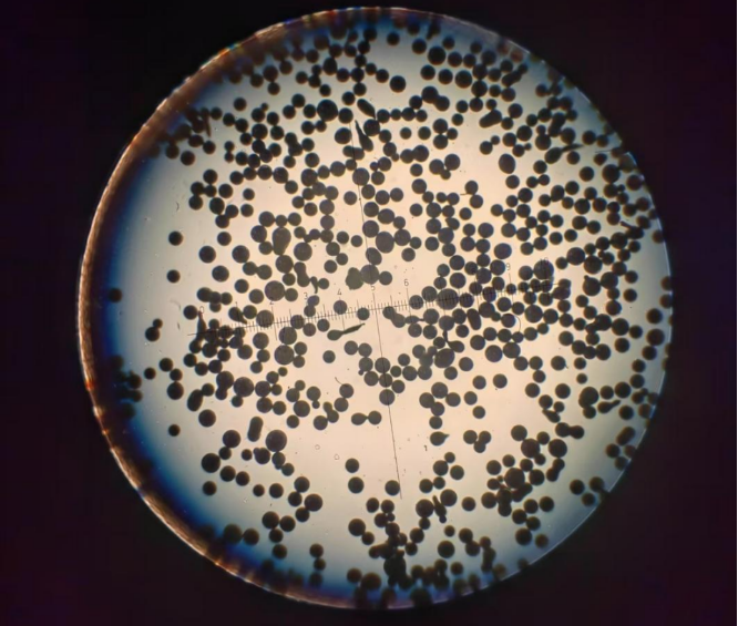 Solder powder grain fineness
