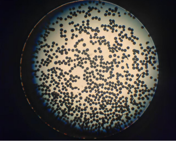 325 mesh solder powder