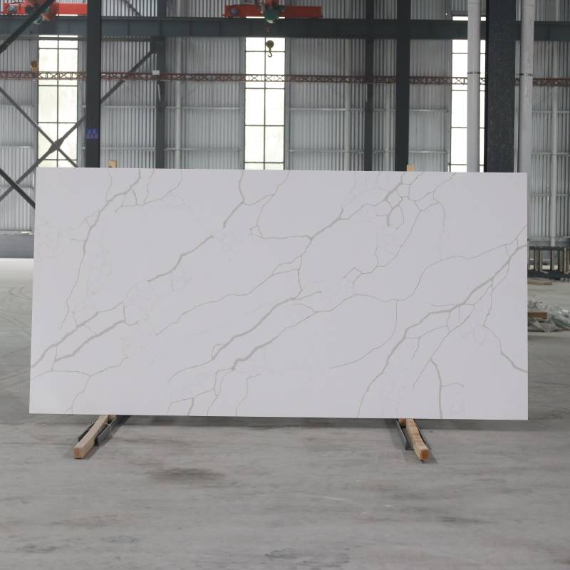 image11.jpg