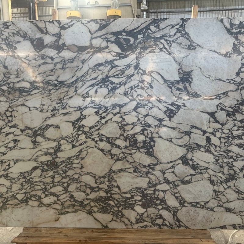Calacatta Viola Marble — close-up showing polished surface texture and detail