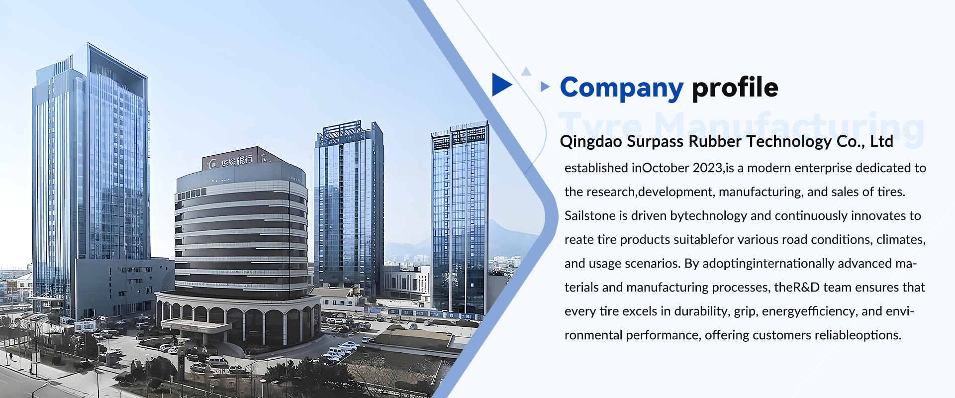 Company profile