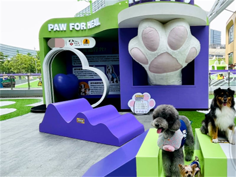 Can Mobile Cabin Guest Rooms Create the Perfect Family-Friendly Pet Park? Duwang Brings Low-Impact Tourism Accommodation