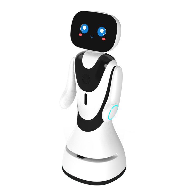 Little Fish welcoming robot