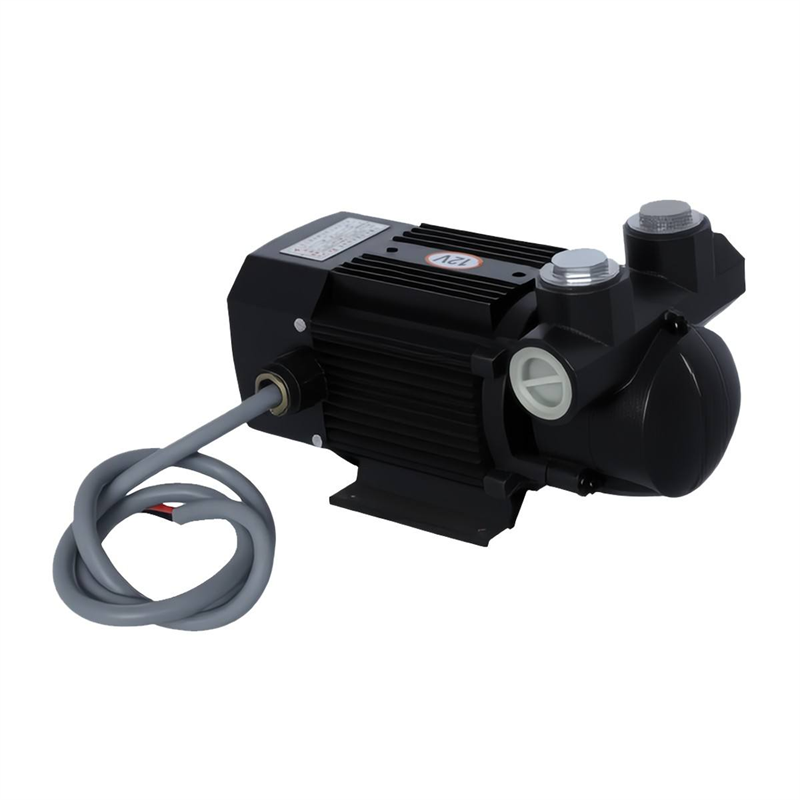 12V Self-Priming Water Pump Electric Transfer Pump With Hose for Fuel and Oil Transfer