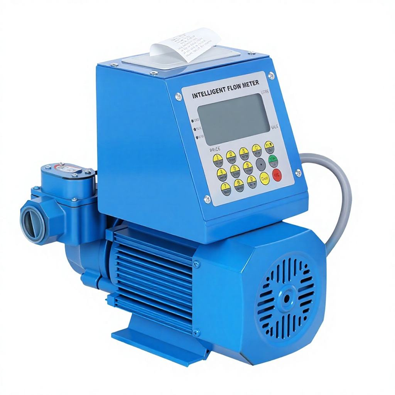 Electric Intelligent Metering Fuel Pump Product Information