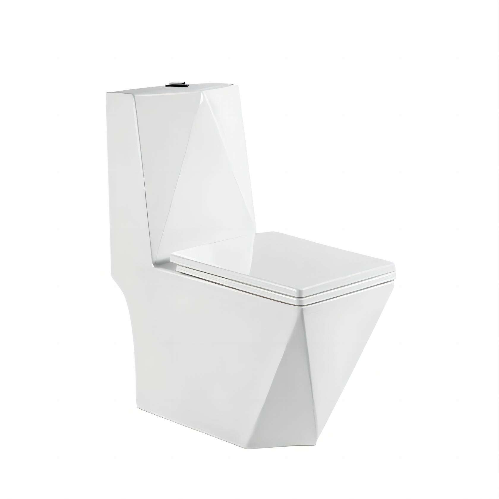 Modern Dual Flush One Piece Ceramic Toilet
