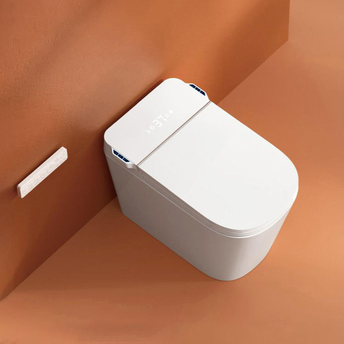 DY071 Electric Bidet Smart Toilet with Instant Hot Water