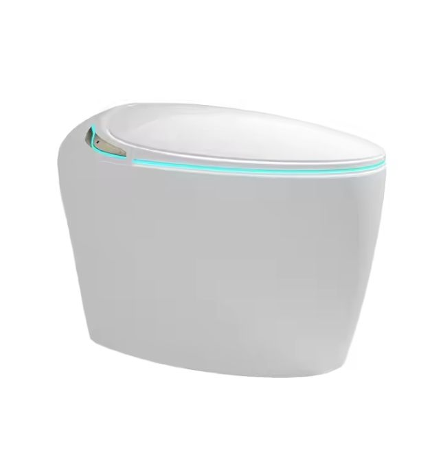 Smart Automatic Bidet Toilet DY111
