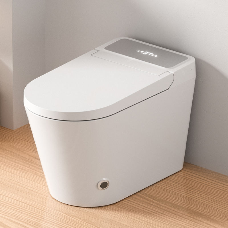 DY098 Smart Bidet Toilet with Instant Hot Water & Heated Seat