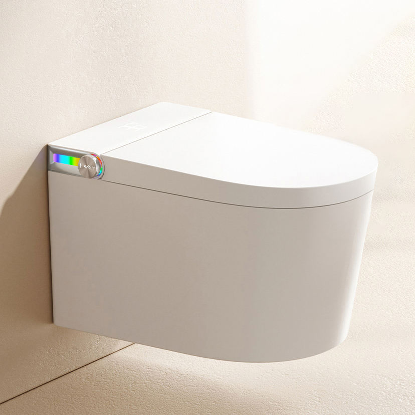 DY137 Automatic Smart Bidet Toilet with Concealed Tank