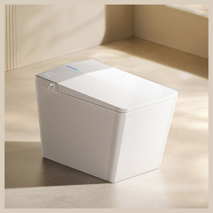 DY123 Square Smart Bidet Toilet with Instant Hot Water
