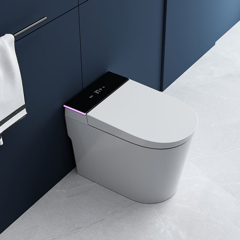 DY072 Automatic Smart Toilet with Siphon Jet Flush