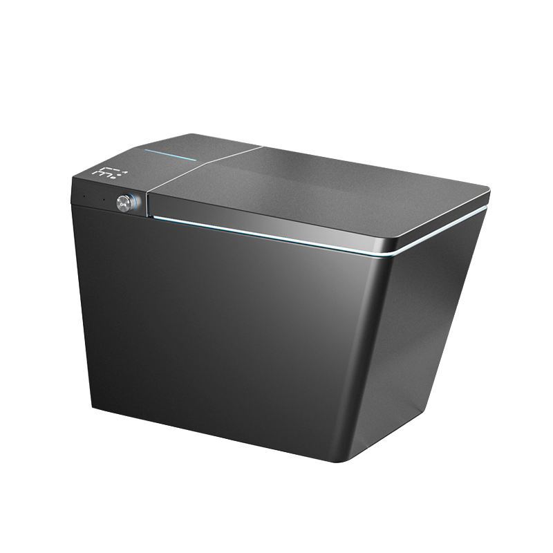 Smart AI Intelligent Toilet with UV Sterilization DY123
