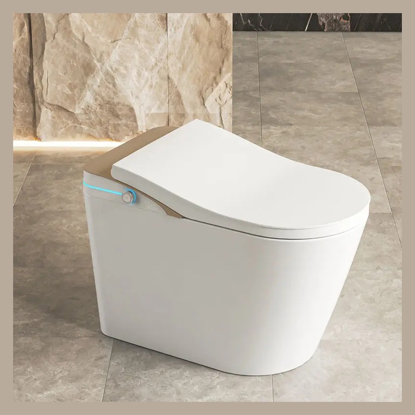 DY097 Gold Smart Bidet Toilet with UV Sterilization & Instant Hot Water
