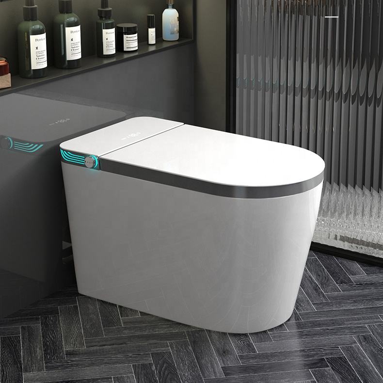 Smart Intelligent Toilet DY107