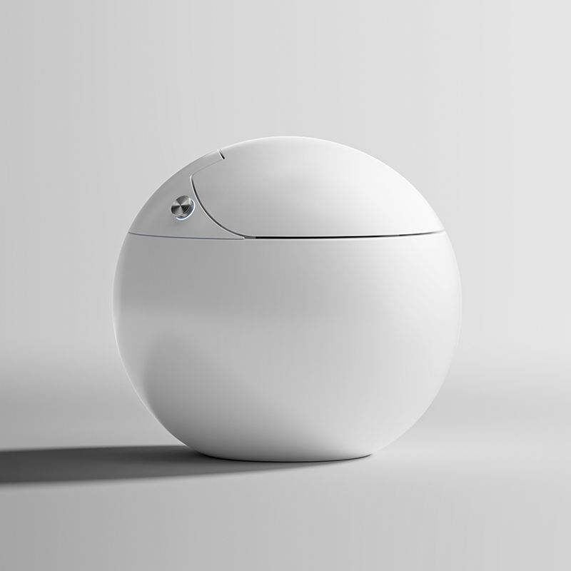 DY095 Egg-Shaped Smart Toilet with Foot Sensor Flush & Automatic Cover