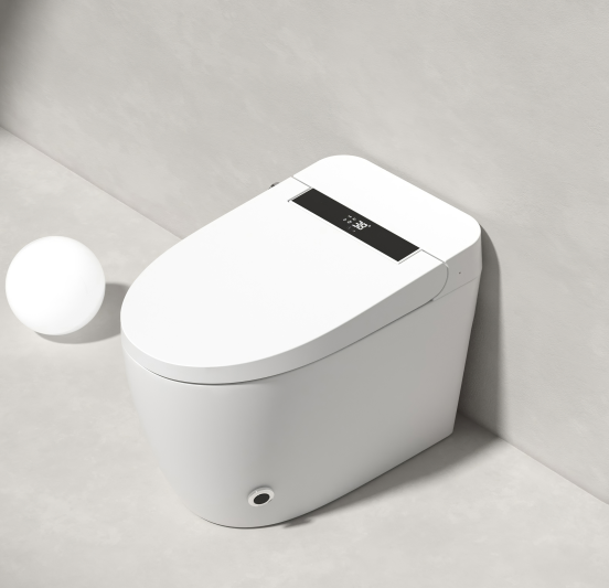 DY084 Automatic Intelligent Toilet with Instant Hot Water & Heated Seat