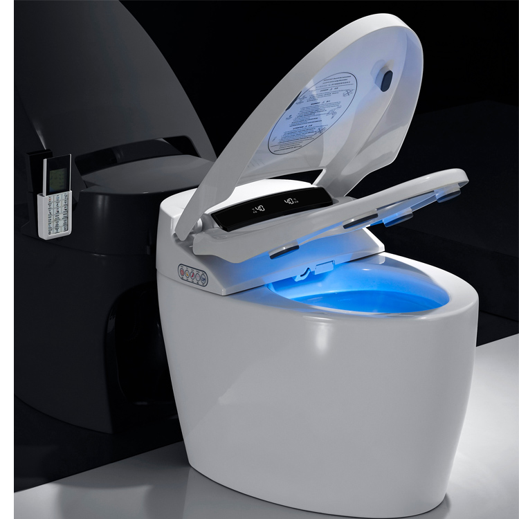 Smart Elongated White One-Piece Toilet DY093