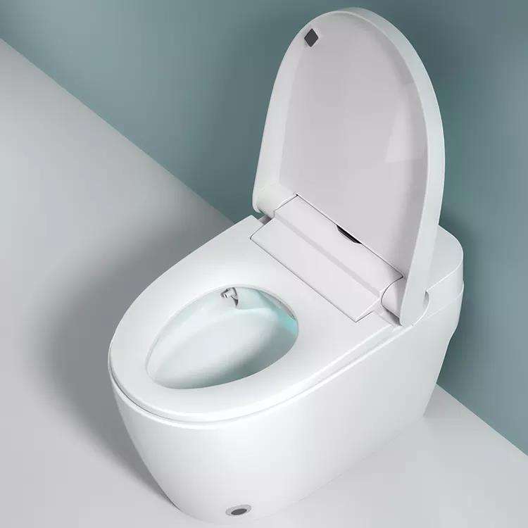 DY076 Smart Bidet Toilet with Instant Hot Water & Heated Seat