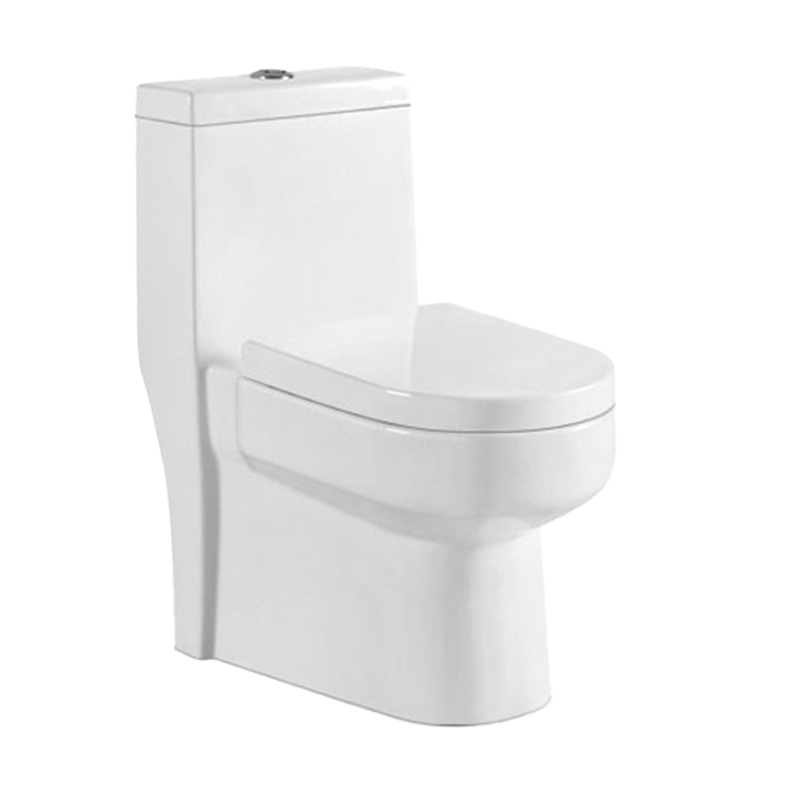 Ceramic Modern Sanitary Ware Siphon Flushing Toilet