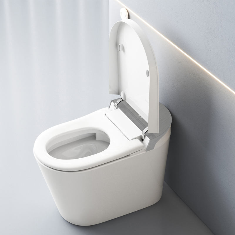 DY089 Smart Toilet with UV Sterilization & Multi-Pit Installation