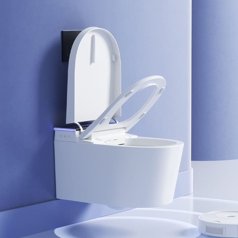 DY120 Wall Mounted Smart Bidet Toilet with Gravity Flush