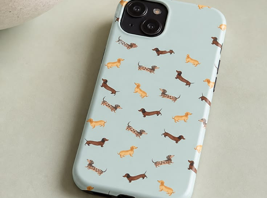 Mobile phone case.png