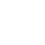 Manufacturing Input