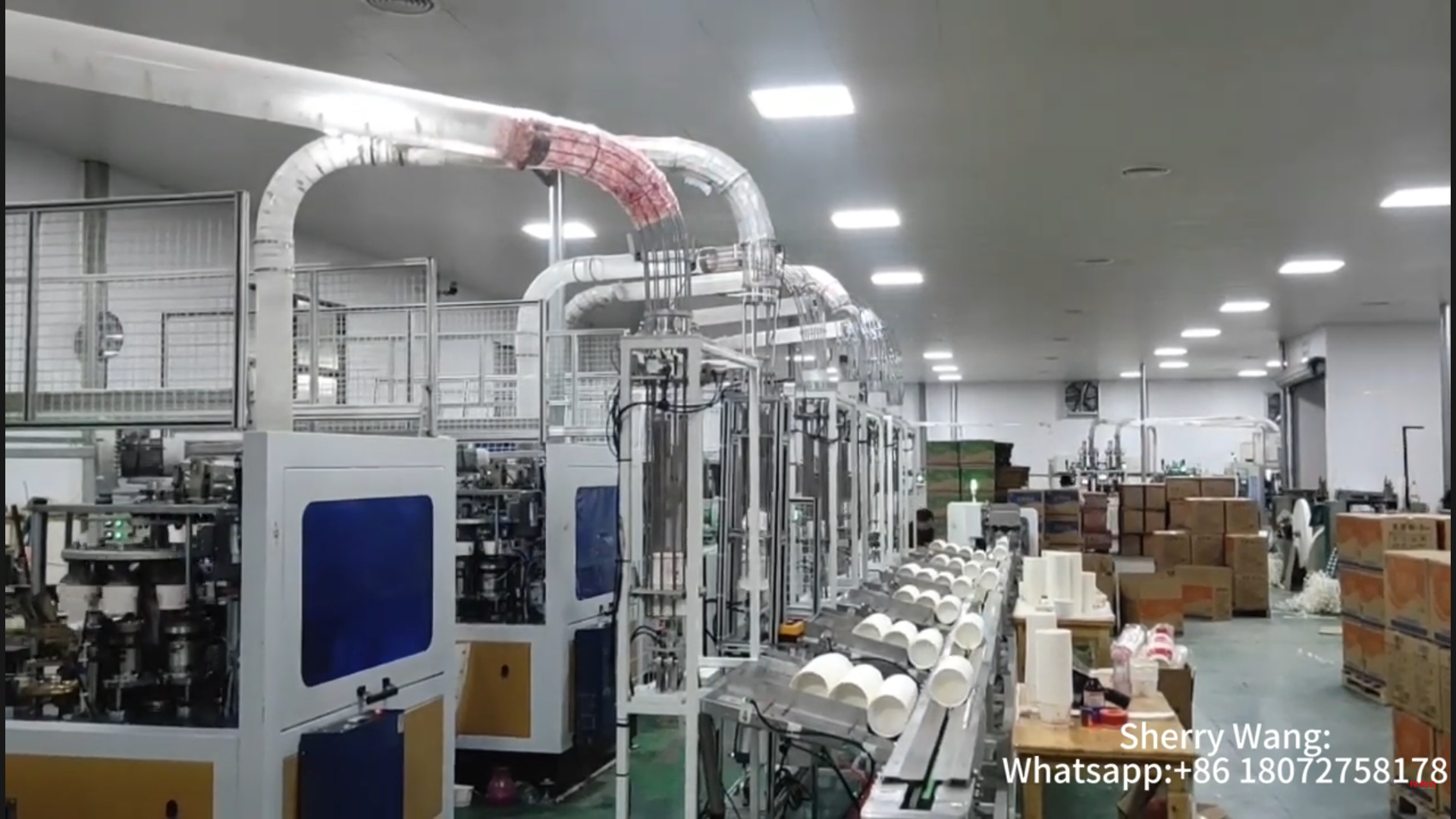 paper bowl machine factory with auto packing device