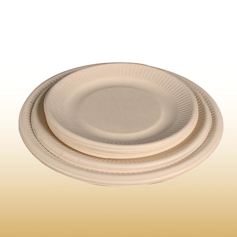 Sugarcane Plate
