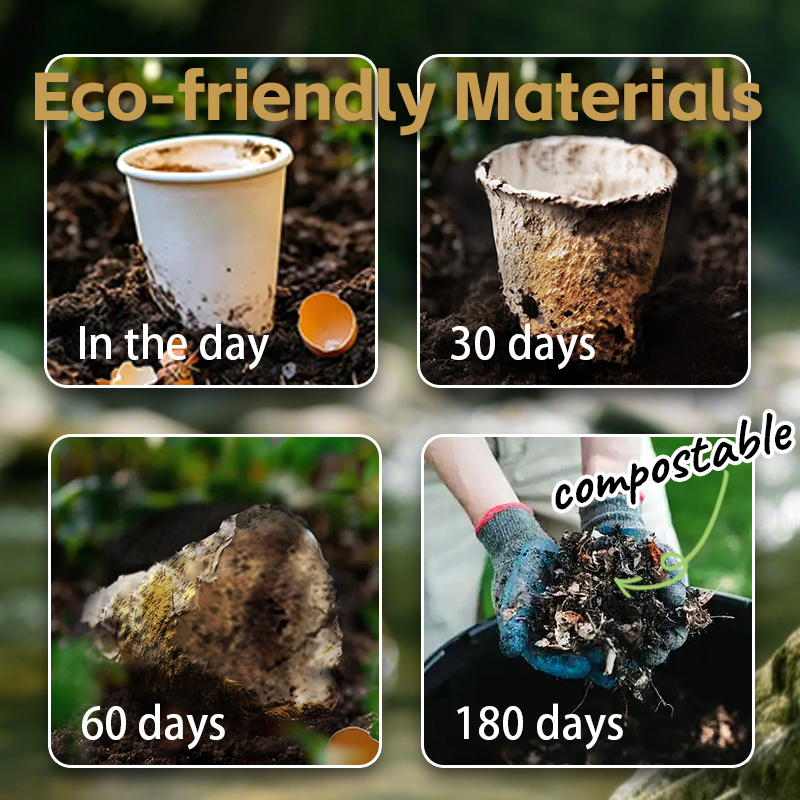 Innovació en Materials Sostenibles