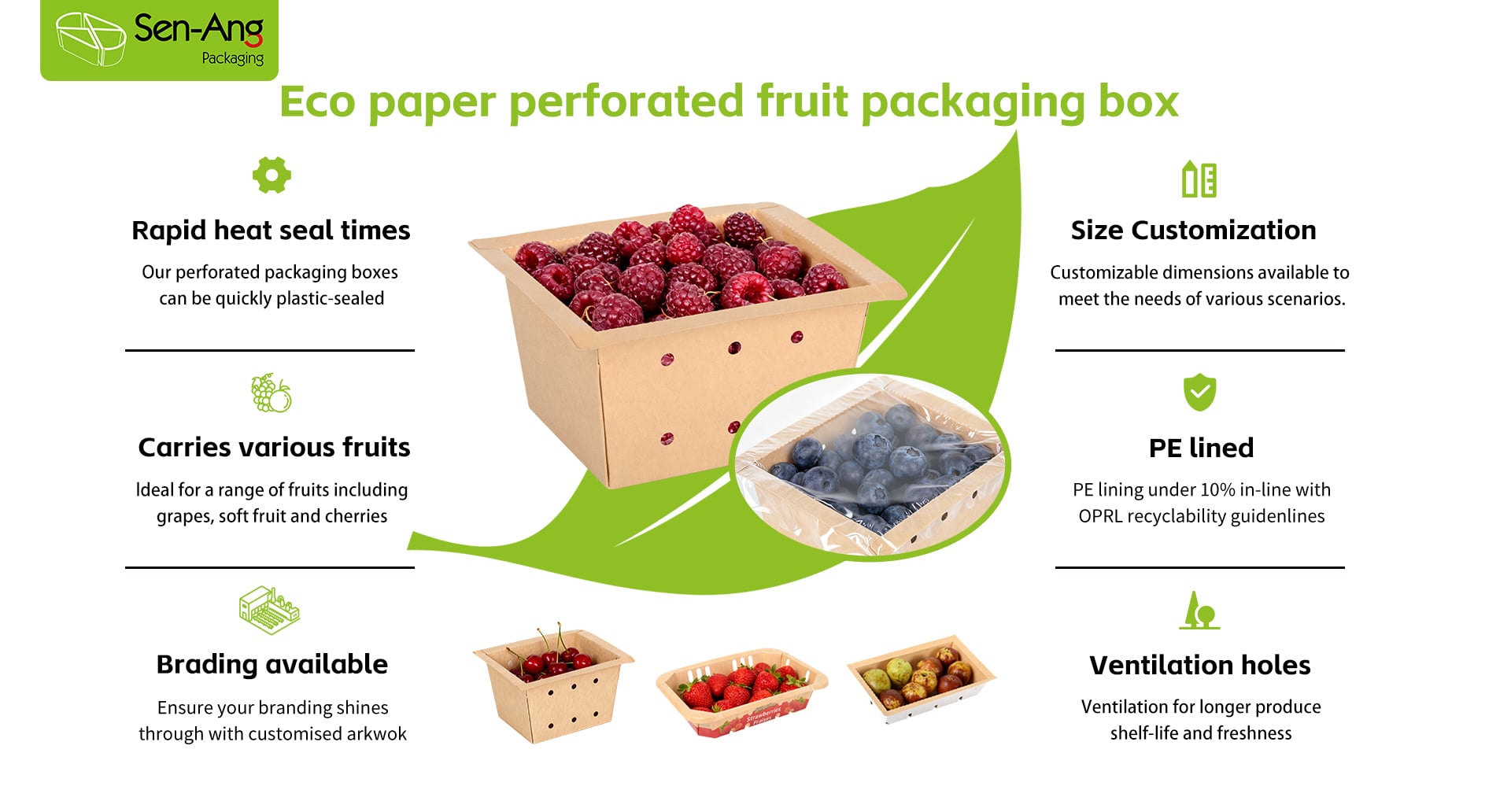 2. Paper Produce Punnet Functional Diagram.jpg
