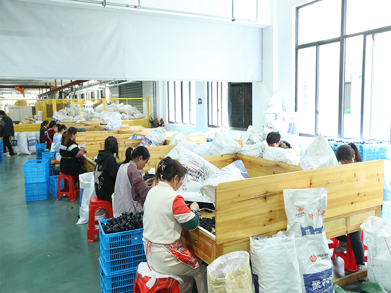behind the connectors a factory tour of houxu yangshengs 5 million monthly production capacity-8