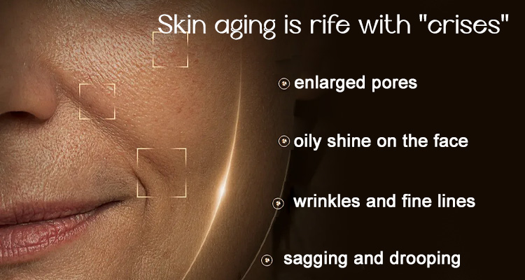 OEM collagen essence ampoules private label