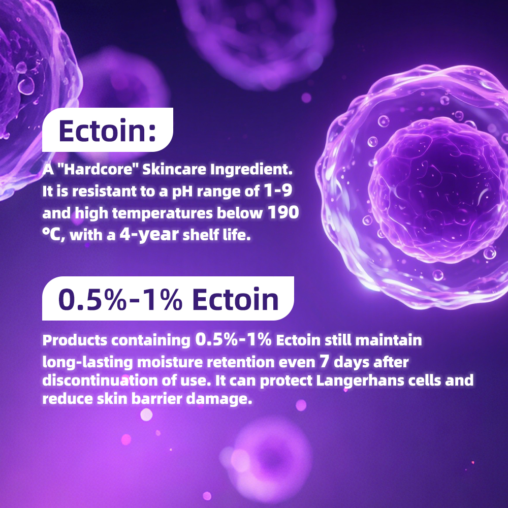 Ectoin: The 