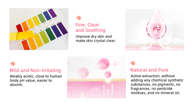 Rose Hydrosol: 100% Pure Rose Water for Hydrating & Brightening Skin | OEM/ODM details