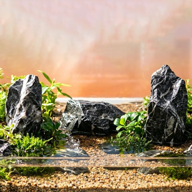 AP Seiryu Stone (1).jpg
