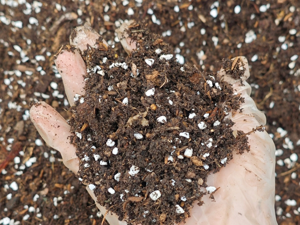 Solutions to Gardening Challenges: The Correct Use of Vermiculite and Perlite