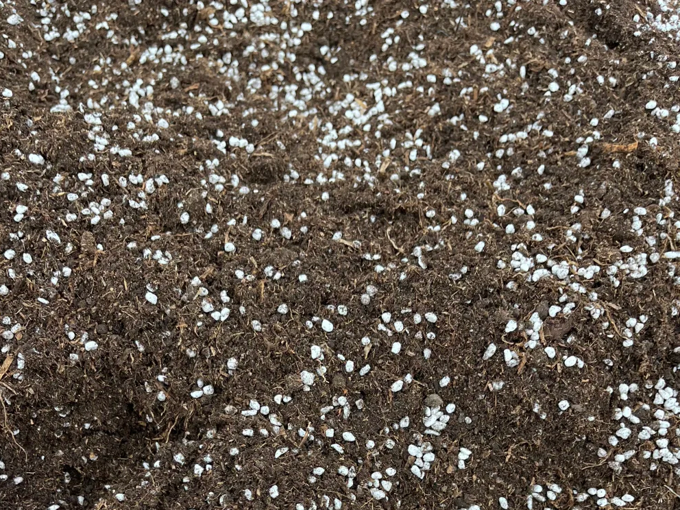 How do you mix the growing medium for succulents? The ideal ratio of perlite to nutrient-rich soil
