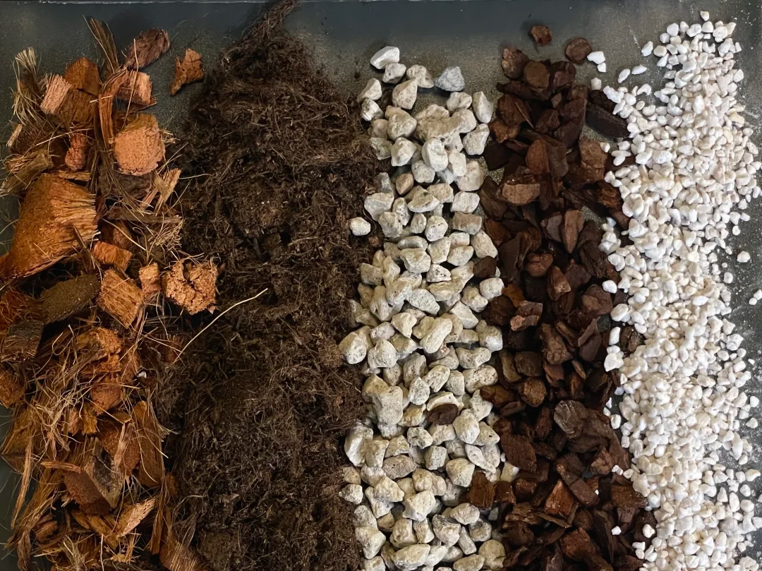 What Kind of Air-Permeable Substrate Suits Orchids, Pothos, and Foliage Plants